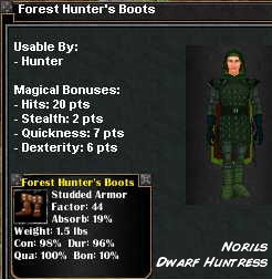 Picture for Forest Hunter's Boots