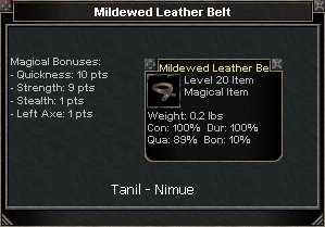 Picture for Mildewed Leather Belt