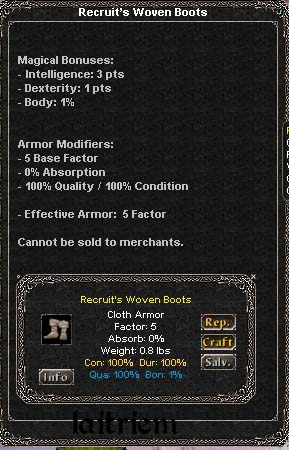 Picture for Recruit's Woven Boots (old)