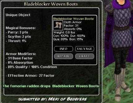 Picture for Bladeblocker Woven Boots (Hib) (u)