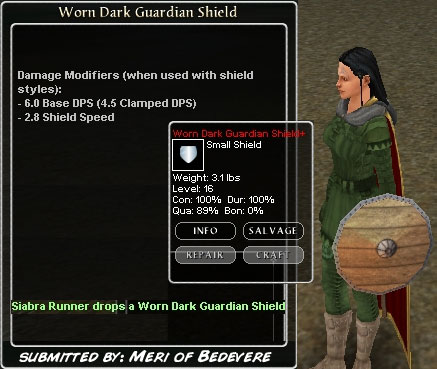 Picture for Worn Dark Guardian Shield