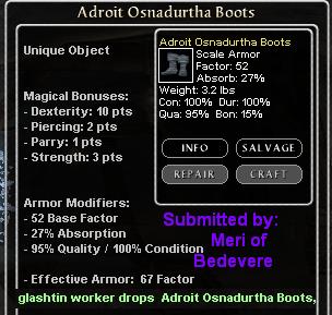 Picture for Adroit Osnadurtha Boots (u)
