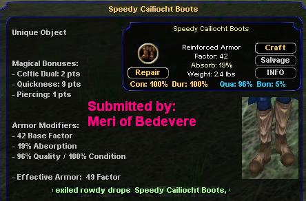 Picture for Speedy Cailiocht Boots (u)