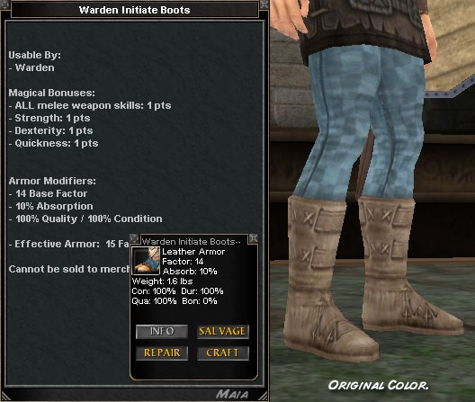 Picture for Warden Initiate Boots