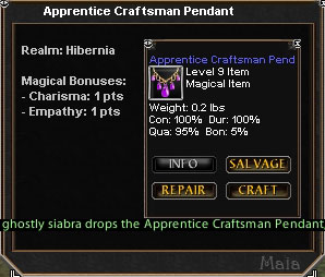 Picture for Apprentice Craftsman Pendant (lvl 9)