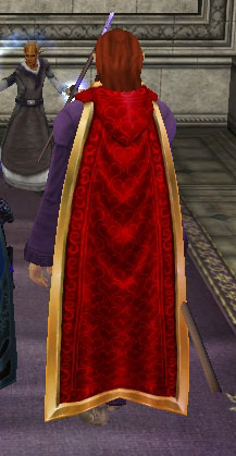 Picture for Hearts Cloak (lvl 45)