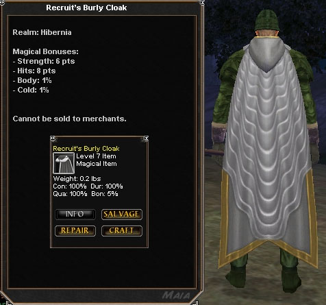 Picture for Recruit's Burly Cloak