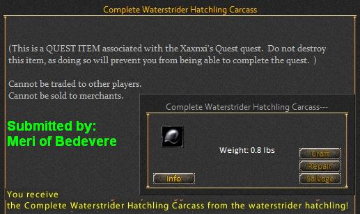 Picture for Complete Waterstrider Hatchling Carcass