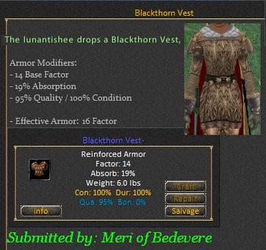 Picture for Blackthorn Vest