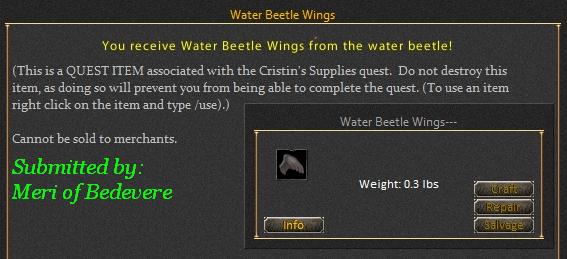 Picture for Water Beetle Wings