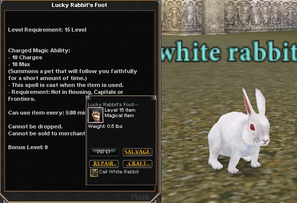 Lucky Rabbit