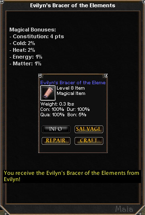 Picture for Evilyn's Bracer of the Elements