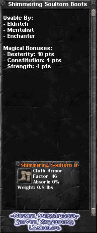 Picture for Shimmering Soultorn Boots (Hib) (nls)