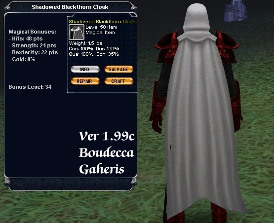 Picture for Shadowed Blackthorn Cloak