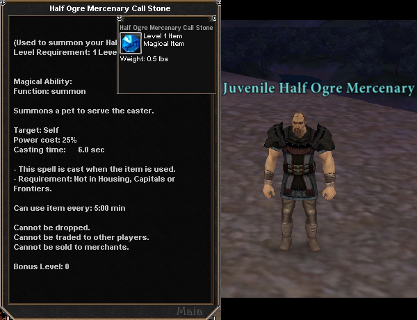 Picture for Half Ogre Mercenary Call Stone