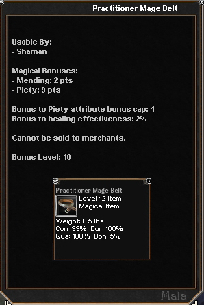 Picture for Practitioner Mage Belt