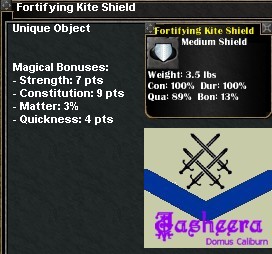 Picture for Fortifying Kite Shield (Alb) (u)