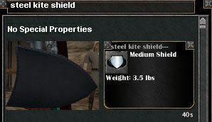 Picture for Steel Kite Shield