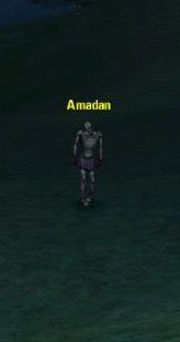 Picture of Amadan