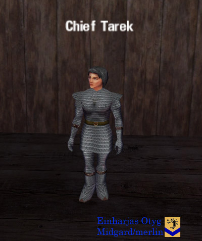 Picture of Chief Tarek