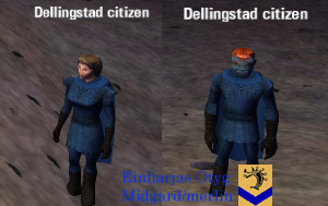 Picture of Dellingstad Citizen