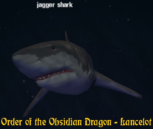 Picture of Jagger Shark