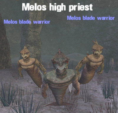 Picture of Melos High Priest