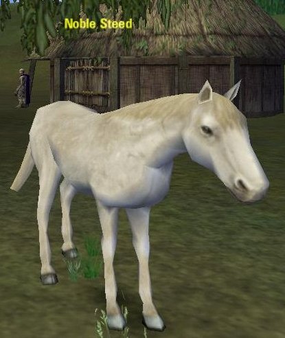 Picture of Noble Steed