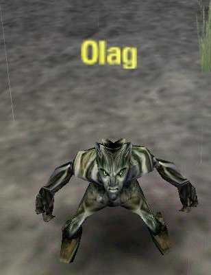 Picture of Olag