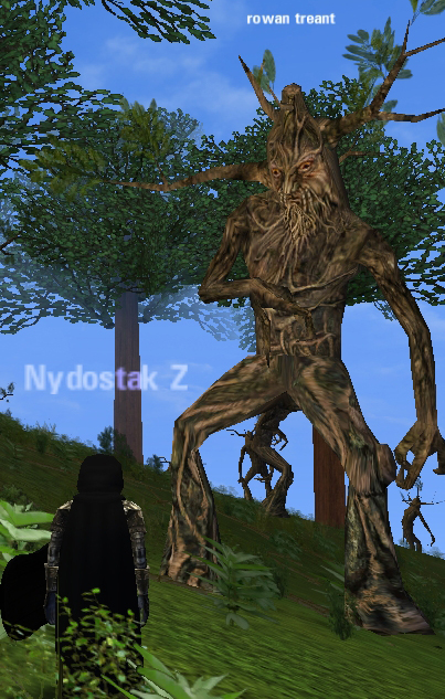 Picture of Rowan Treant