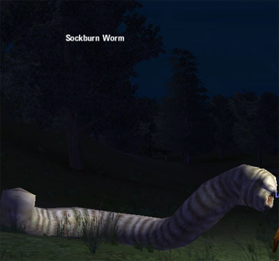 Picture of Sockburn Worm