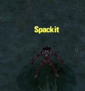 Picture of Spackit