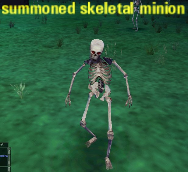 Picture of Summoned Skeletal Minion