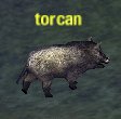 Picture of Torcan