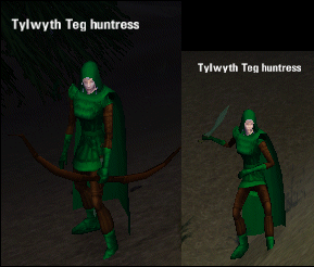 Picture of Tylwyth Teg Huntress
