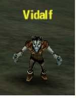 Picture of Vidalf