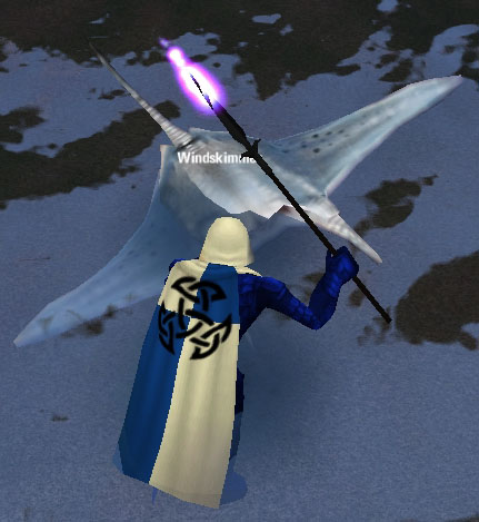 Picture of Windskimmer