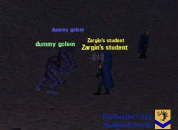 Picture of Dummy Golem