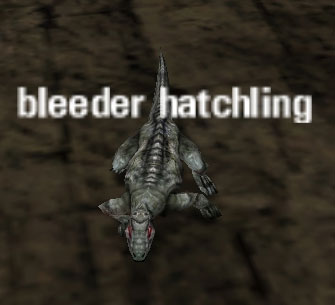 Picture of Bleeder Hatchling