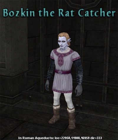 Picture of Bozkin the Rat Catcher