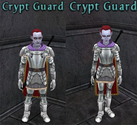 Picture of Crypt Guard