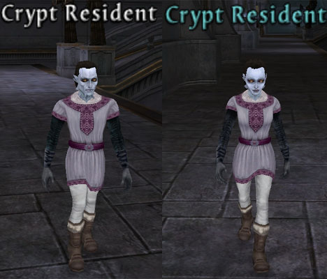 Picture of Crypt Resident