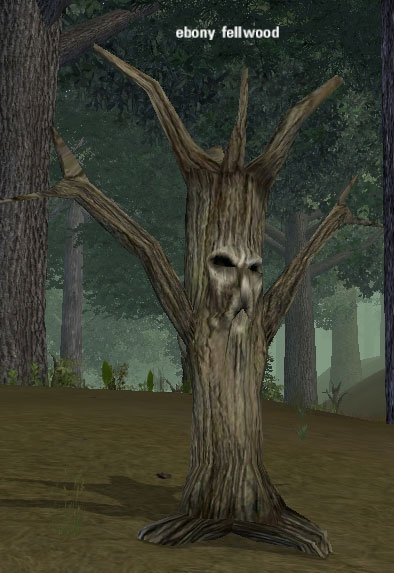 Picture of Ebony Fellwood