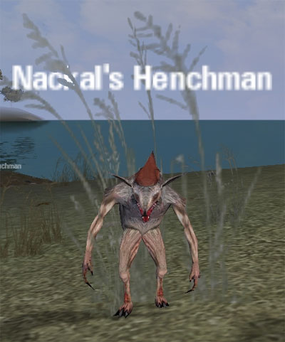 Picture of Nackal's Henchman