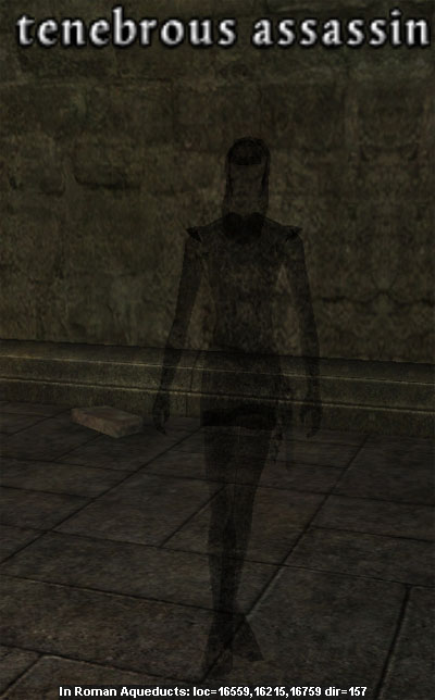 Picture of Tenebrous Assassin (AM)