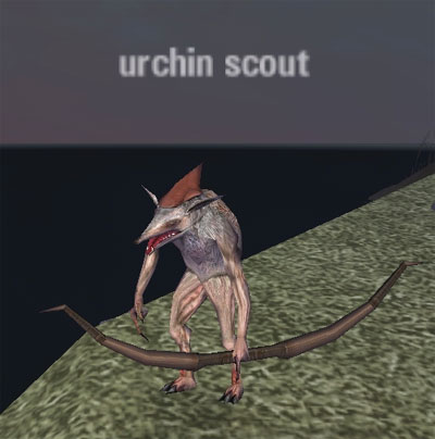 Picture of Urchin Scout