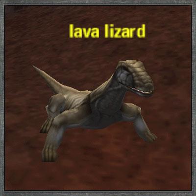 Picture of Lava Lizard