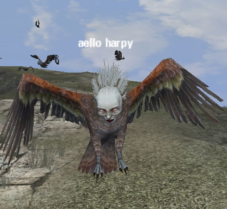 Picture of Aello Harpy