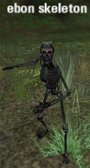 Picture of Ebon Skeleton