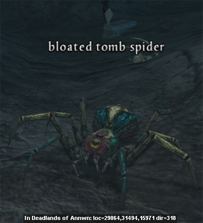 Picture of Bloated Tomb Spider (Alb)